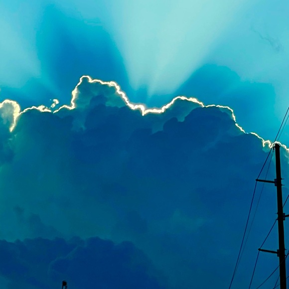 Meet your Posher, Fidel - Picture 1 of 1